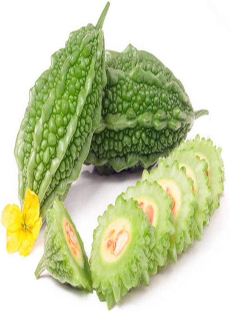 GGOOT 30pcs Bitter Gourd Seeds for Planting Annual Climbing Fujimoto Fresh Vegetable Seed Green Non-GMO Heirloom Easy to Cultivate Suitable for Beginners - Image 1