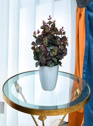 2-Piece Artificial Eucalyptus Flowers Potted Artificial Plants in Plastic Pot for Home Indoor Dinning Table Centerpiece Decoration - Silk Flowers(Red Green) - pzsku/Z4E067267FB312CBF95C6Z/45/_/1716555097/8e293802-7abf-467c-a6e3-b7aa883eba0c