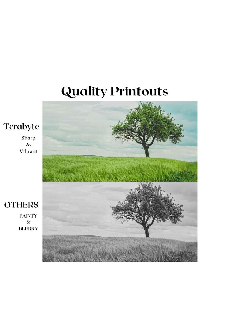 Terabyte TONER CARTRIDGE TN650 BLACK - Image 4