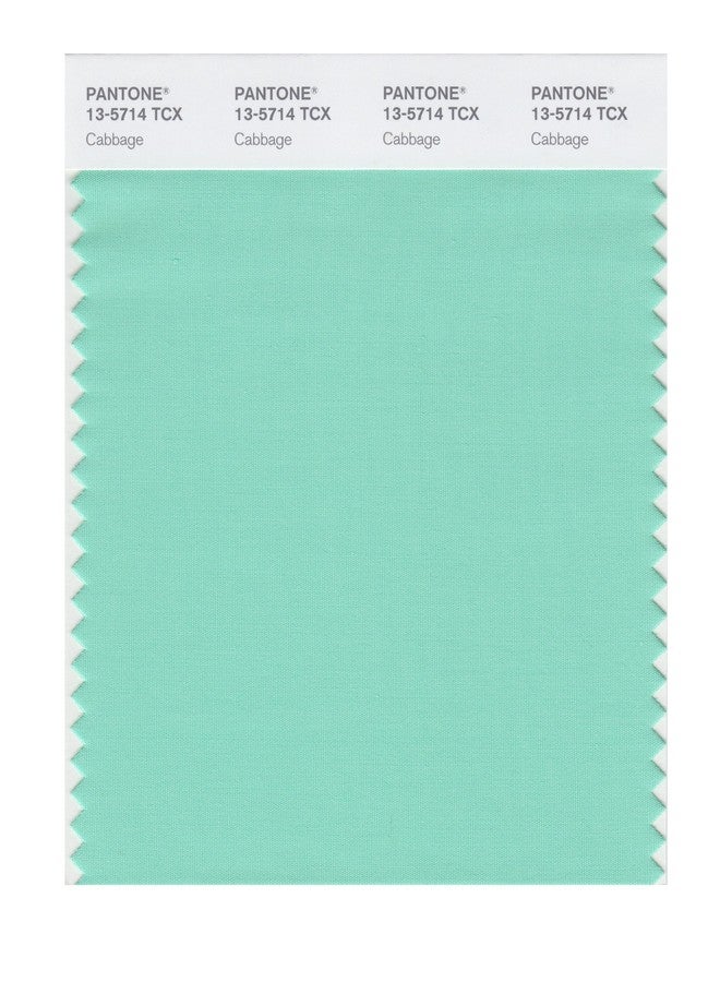 PANTONE Smart 13-5714X Color Swatch Card, Cabbage - Image 2