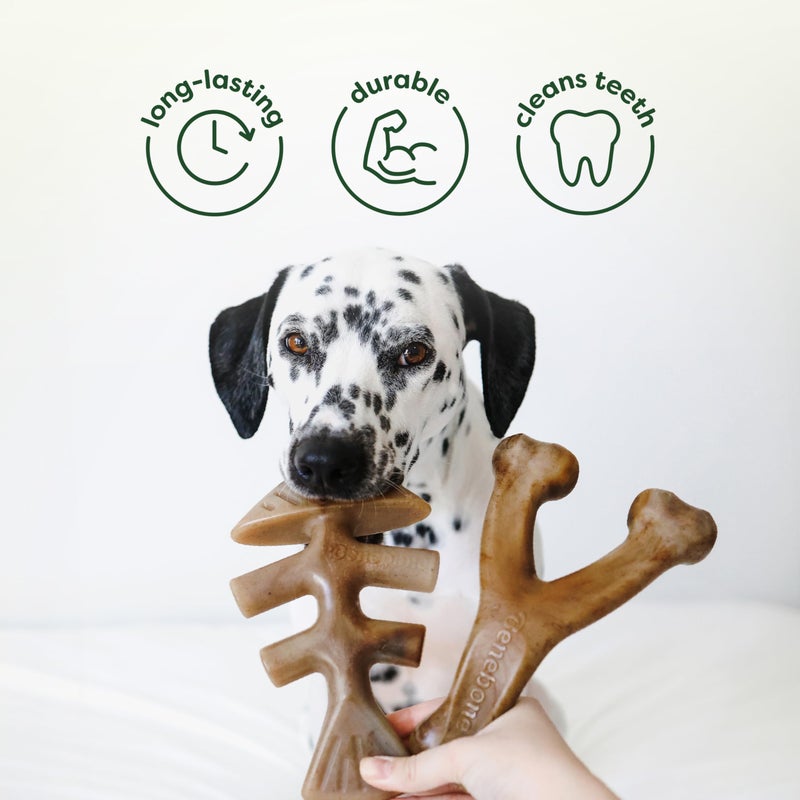 Benebone 4-Pack Ball/Bone/Bacon Wishbone/Fishbone Medium - Image 5