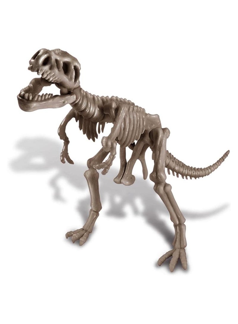 4M التنقيب عن عظام ديناصور تي ريكس - 3221 - Image 2