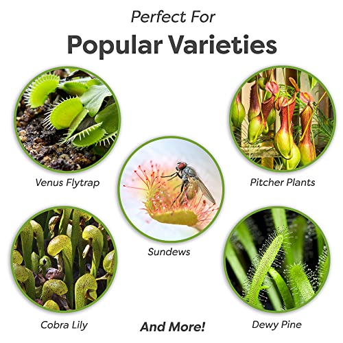 Perfect Plants Carnivorous Plant Soil | 4 Qts. Organic Premium Mix | Use with Venus Fly Traps, Pitcher Plants, or Other Carnivorous Plants - Image 3