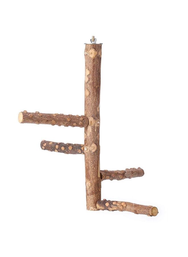 Bird Perch Nature Wood Stand for 3-4pcs Small Medium Parrots - Image 2