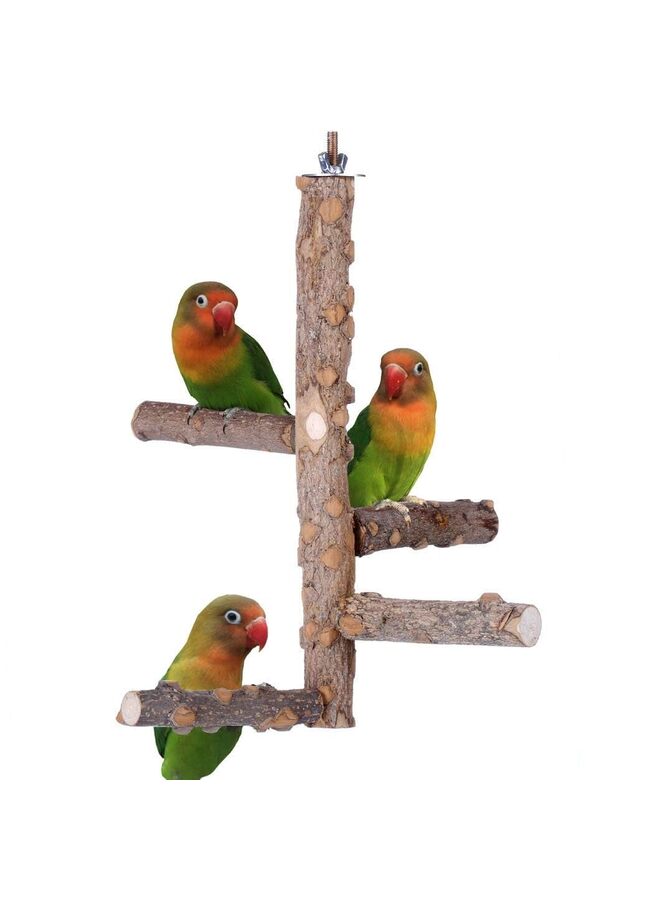 Bird Perch Nature Wood Stand for 3-4pcs Small Medium Parrots - Image 1