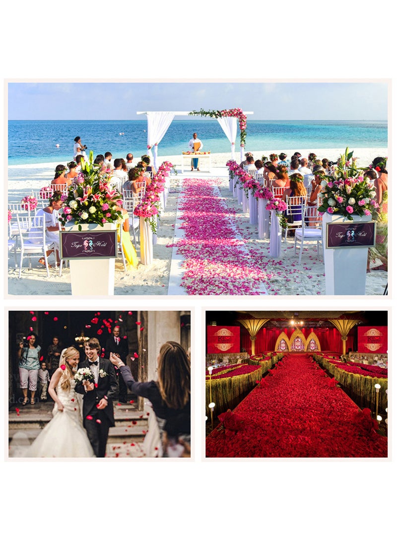 1000-Piece Artificial Flower Rose Petal Set