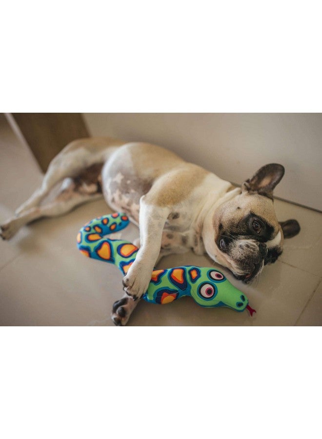 Petmate Fat Cat Incredible Strapping Yankers Dog Toy, Snake (Colors May Vary) - Image 3