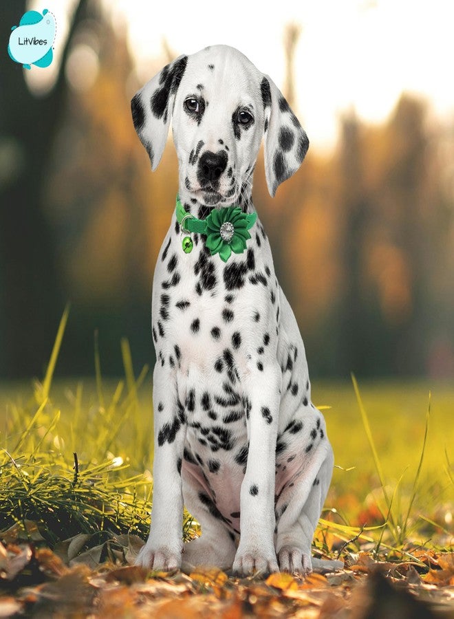 Litvibes Cat Collar Breakaway with Bell,Kitten & Small Dogs Soft Adjustable Collar Safe,Solid & Protection for Cats & Puppies,Cute Kitty Neckband with Flower Design - Green - Image 3