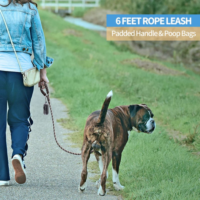 BAAPET 2/4/5/6 FT Dog Leash with Comfortable Padded Handle and Highly Reflective Threads for Small Medium and Large Dogs (6FT-1/2'', Black) - Image 5