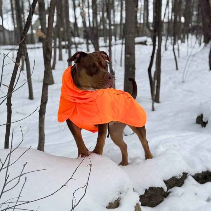 Spark Paws Dog Raincoat, Waterproof Windproof Rain Jacket, for Small Medium Large Extra Large Dogs, Reflective Breathable Full-Body Coverage Dry Suit - Orange - S - Image 5