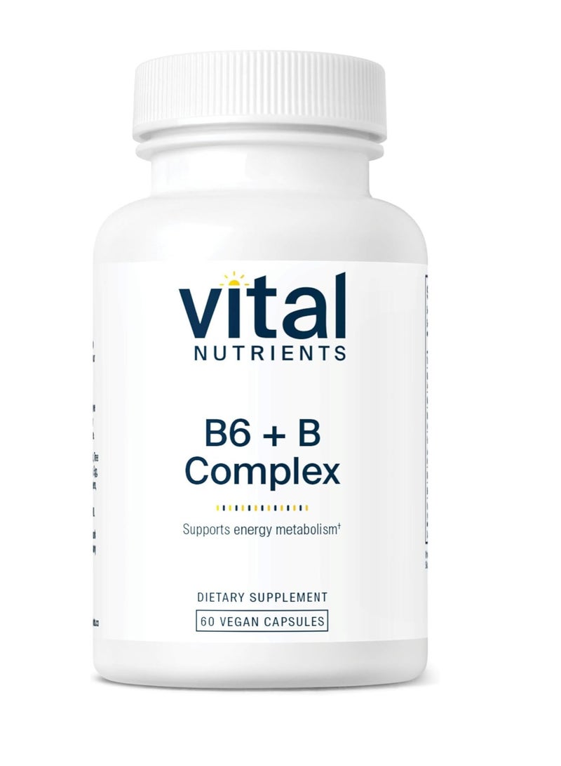 Vital Nutrients B6 + B-Complex - Balanced B Vitamin Formula with Extra - 60 Capsules - Image 1