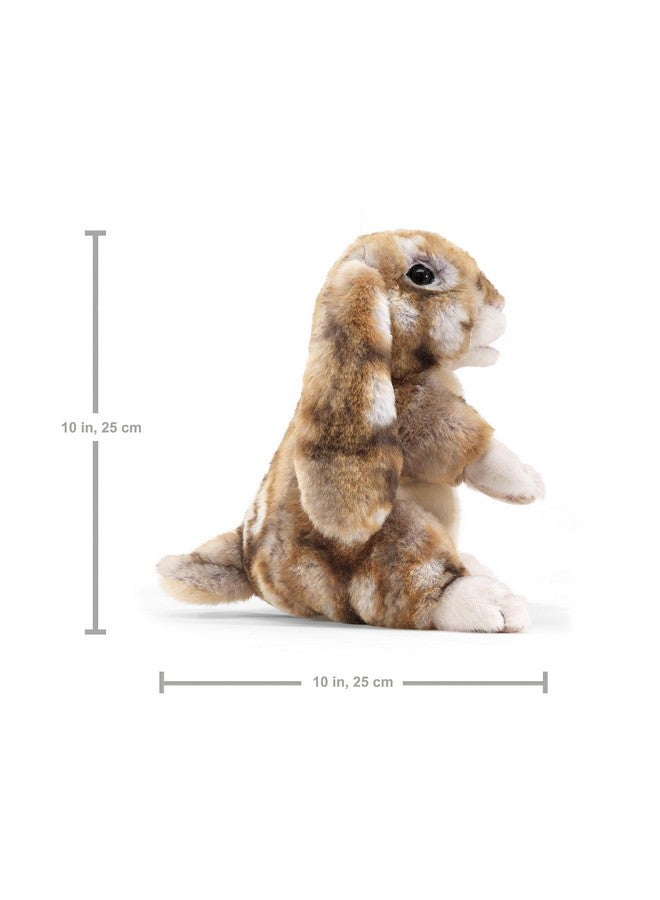Folkmanis Silky Bunny Rabbit Hand Puppet - Image 5