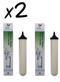 British Breakfield White/Black Water Filter Candle 2 Candles 