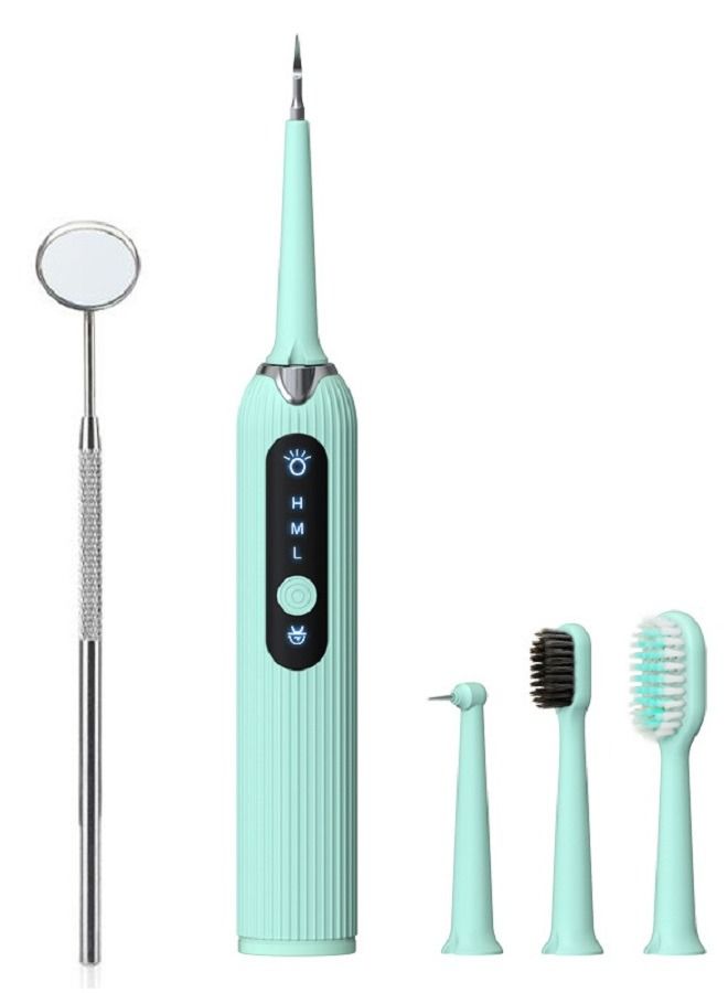 general Sonic Scaler, Calculus Remover, Dental Care Tools Electric Scaler Flosser (Green) - Image 1