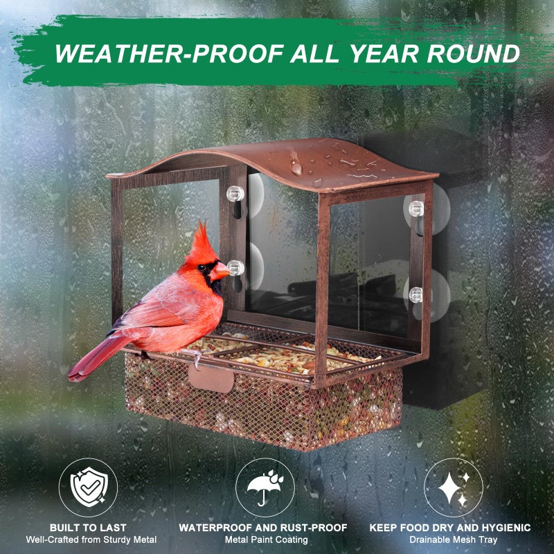 Lilyang Window Bird Feeder, Metal Bird Feeder Window with Wide View, Window Bird Feeders with Strong Suction Cups, Wild Bird Feeders for Bird Watching Presents - Image 5