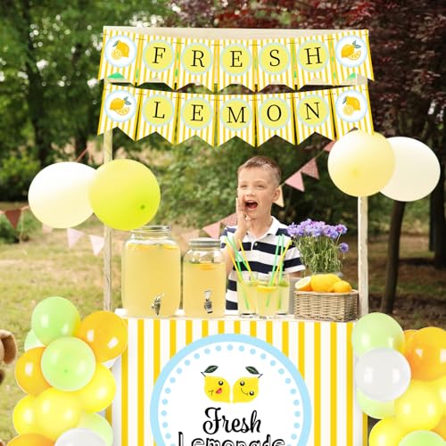 RoundFunny 43 Pcs Lemonade Stand Supplies 45 x 31 Inch Tablecloth, 2 Fresh Lemon Garland, 40 Latex Balloons for Fresh Squeezed Lemonade Stand Decorations Kit Summer Lemon Birthday Party(Check) - Image 3