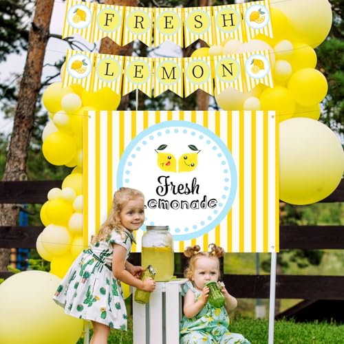 RoundFunny 43 Pcs Lemonade Stand Supplies 45 x 31 Inch Tablecloth, 2 Fresh Lemon Garland, 40 Latex Balloons for Fresh Squeezed Lemonade Stand Decorations Kit Summer Lemon Birthday Party(Check) - Image 5