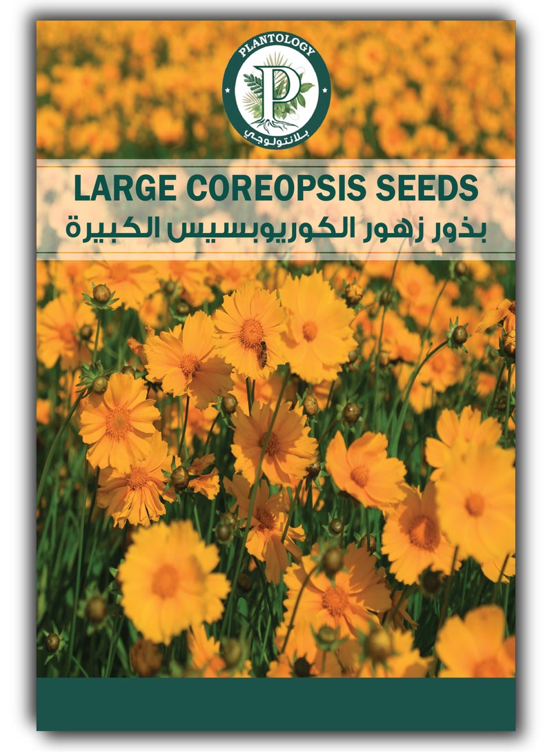 Coreopsis Seeds for Planting – Bright Yellow Wildflower Seeds