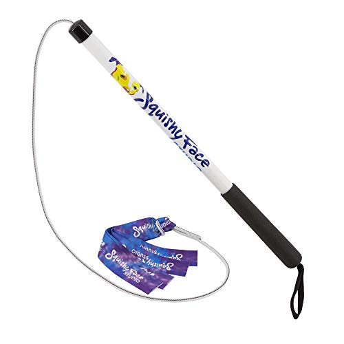 Squishy Face Studio Flirt Pole V2 with Lure Durable Dog Toy for Fun Obedience Training Exercise Jr 24 inch - Image 1
