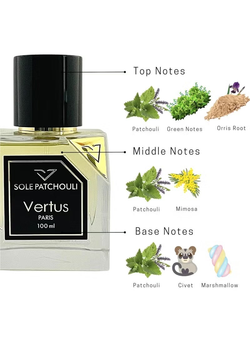 فيتروس عطر سول باتشولي 100ملليلتر - Image 1