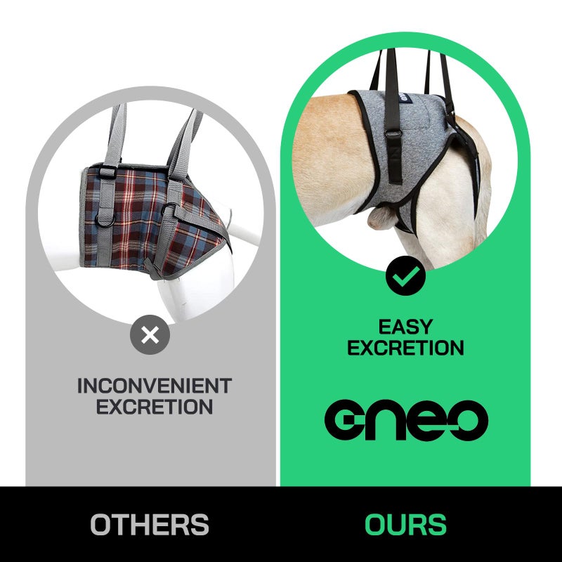 Cneo حزام رفع الكلاب CNEO، حزام للكلاب المتوسطة والكبيرة، حزام دعم قابل للتعديل لأرجل الظهر، تصميم مريح لحزام الحيوانات الأليفة مع حشوة للكلاب المسنّة، المصابة، المصابة بالتهاب المفاصل، المعاقين - Image 2