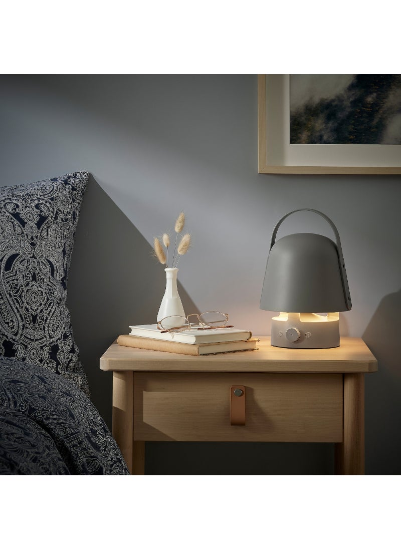 IKEA FRAKTA - Bluetooth speaker lamp - outdoor/grey - Image 1