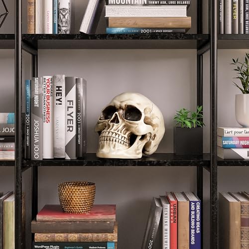 READAEER Resin Skull, Human Head Model for Home Decoration, Halloween Statue, Skull Model for Bookshelf and Desktop (White) - Image 5