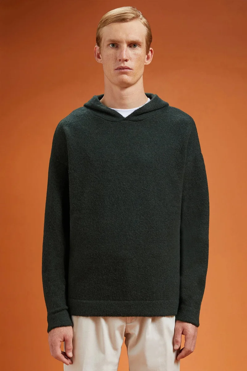 Men's regular fit hoodie in a wool blend - DK Green