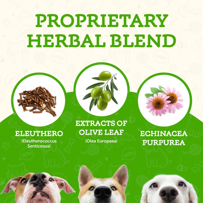 Animal Essentials Super Immune - Dog & Cat Immune Support for Puppies with Olive Leaf Extract & Echinacea, Olive Root for Dogs, Supports Respiratory Health & Overall Wellness - 1 Fl Oz - Image 2