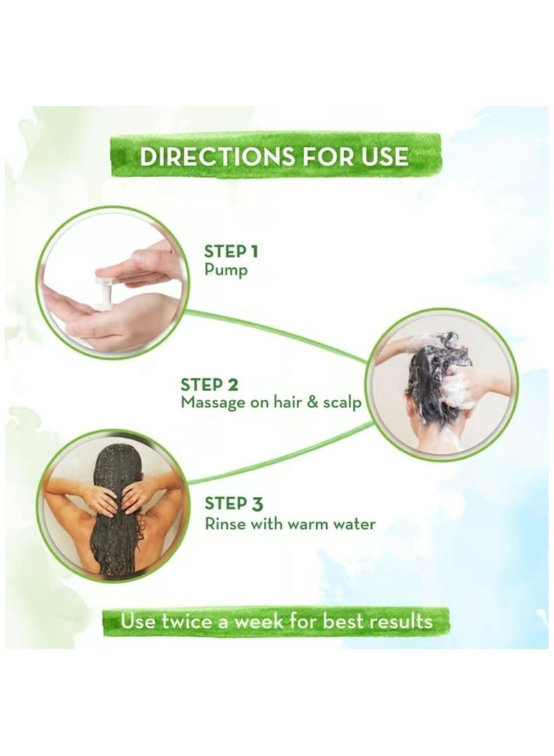 Mamaearth Rice Water Shampoo 250ml - Image 5