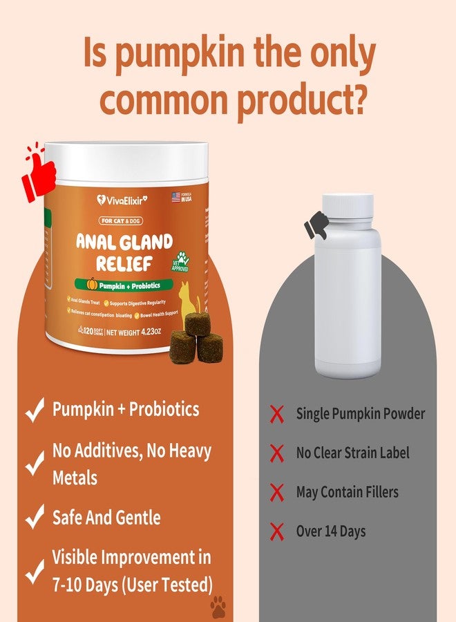 VivaElixir Constipated Cat - Pumpkin + Probiotic Soft Chews - Promotes Digestive Health, Regular Bowel Movements, and Intestinal Balance | Veterinarian-Approved, 120 Chewable Tablets - Image 5