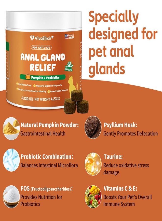 VivaElixir Constipated Cat - Pumpkin + Probiotic Soft Chews - Promotes Digestive Health, Regular Bowel Movements, and Intestinal Balance | Veterinarian-Approved, 120 Chewable Tablets - Image 3