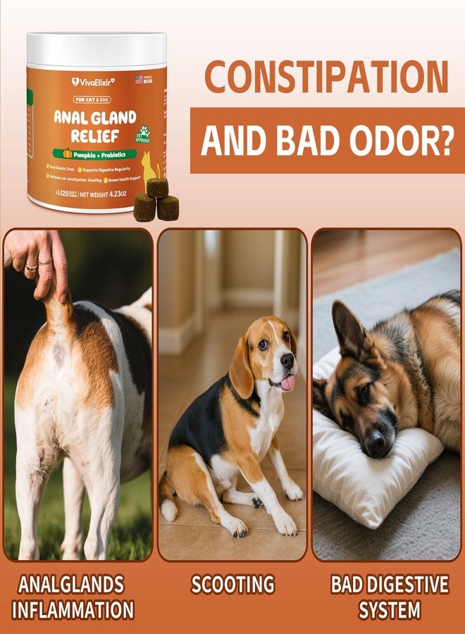 VivaElixir Constipated Cat - Pumpkin + Probiotic Soft Chews - Promotes Digestive Health, Regular Bowel Movements, and Intestinal Balance | Veterinarian-Approved, 120 Chewable Tablets - Image 4