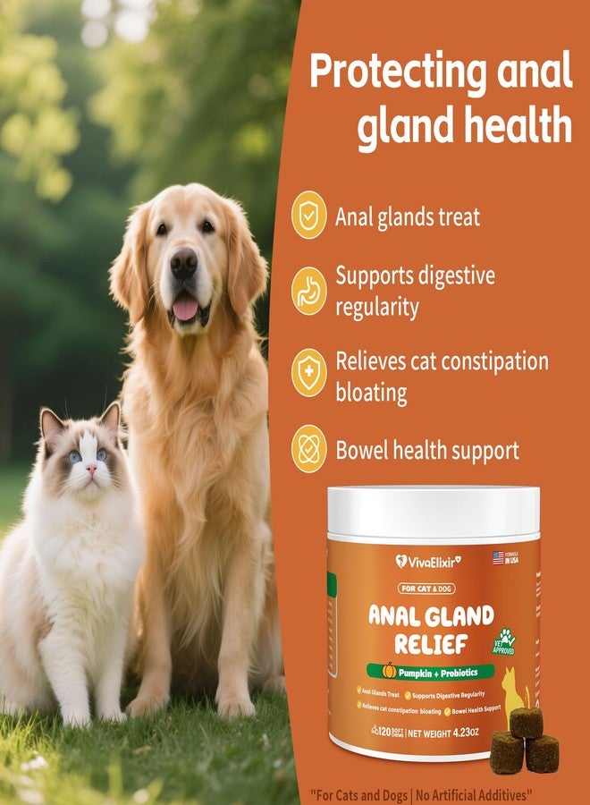 VivaElixir Constipated Cat - Pumpkin + Probiotic Soft Chews - Promotes Digestive Health, Regular Bowel Movements, and Intestinal Balance | Veterinarian-Approved, 120 Chewable Tablets - Image 2