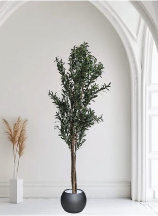 Fruitful olive tree with a large gray pot, with an attractive design, make your home more elegant, 210 cm - pzsku/Z4E1CC6CE3605E163739CZ/45/_/1731769245/3184b43f-a87f-4d02-9ad9-7bbe256ffcdf