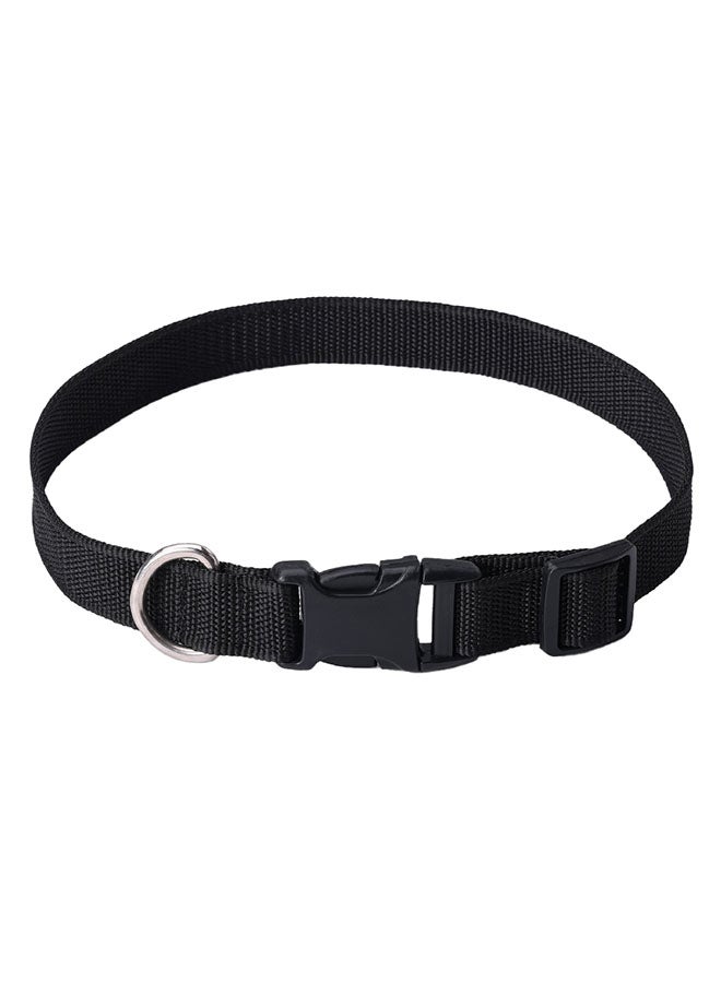 Homebox Canine Nylon Pet Collar - Image 1