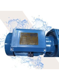 Holmen Mani 1.25 Hp Water Motor - Blue 1  - Image 2