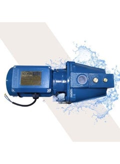 Holmen Mani 1.25 Hp Water Motor - Blue 1  - Image 3