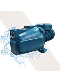 Holmen Mani 1.25 Hp Water Motor - Blue 1  - Image 1