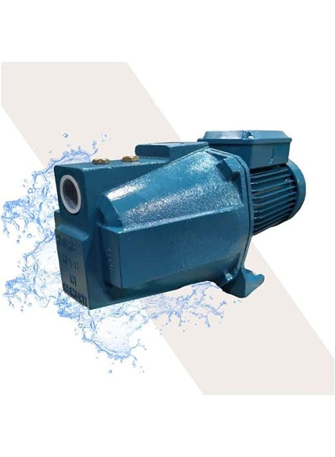 Holmen Mani 1.25 Hp Water Motor - Blue 1 - Image 1