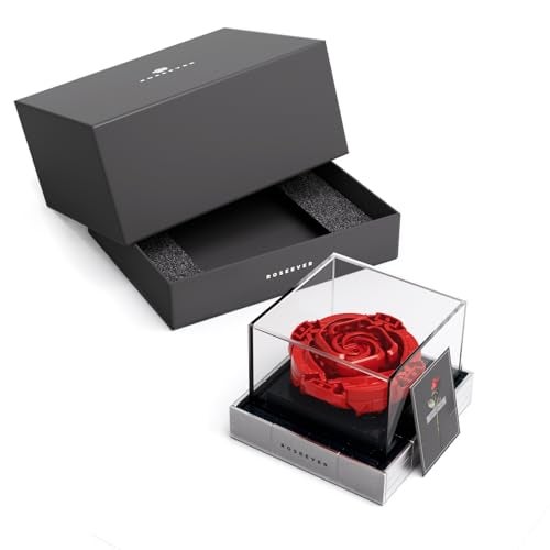 Nifeliz Nifeliz ROSEEVER Artificial Flowers Building Sets Unique Mothers Day Dcor Ideal for Birthday Anniversary or Mothers Day Creative Rose Building Toys to Build and Display NF10256