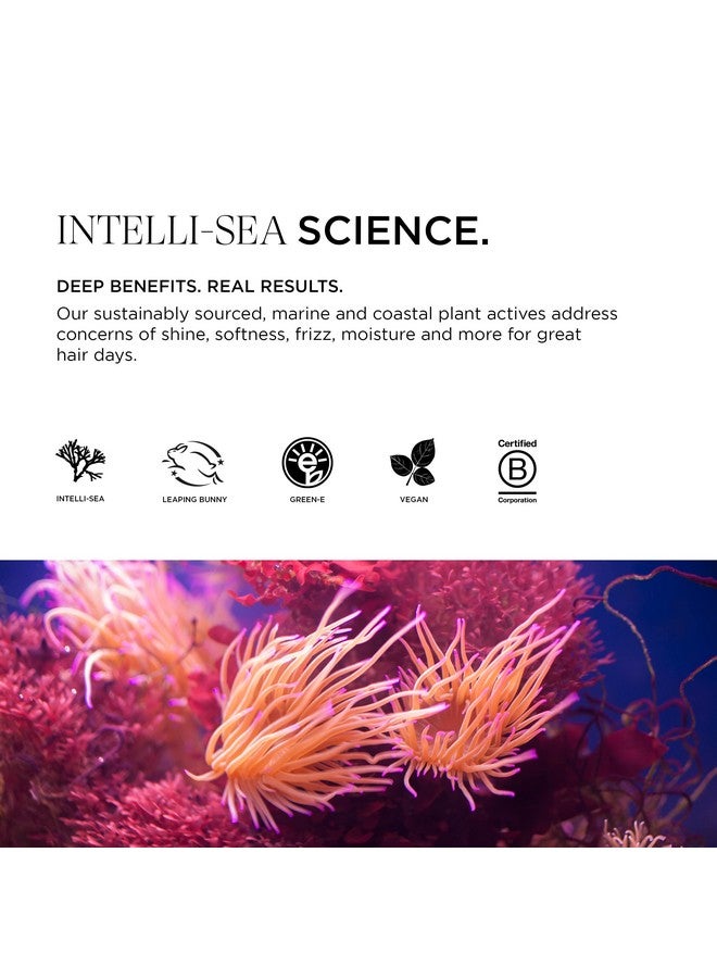 Intelligent Nutrients Amplifi-Hair Volumizing Conditioner, Weightless Hydration And Detangling For Fine Hair, Vegan Conditioning Formula, 32 Oz - Image 3