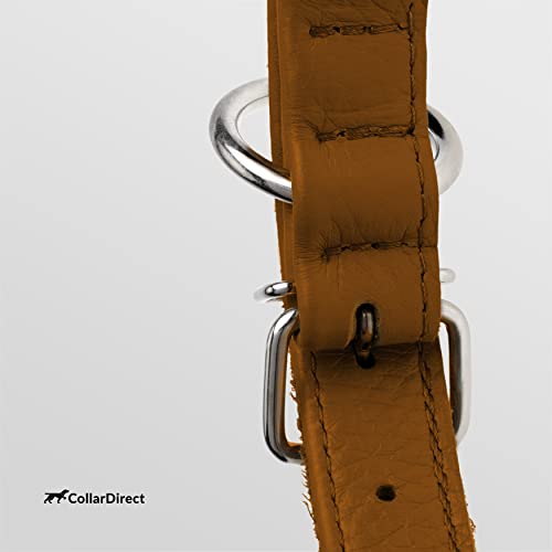 CollarDirect Rolled Leather Dog Collar, Soft Padded Round Puppy Collar, Handmade Genuine Leather Collar Dog Small Large Cat Collars 13 Colors (6-7 Inch, Cinnamon Textured) - Image 3