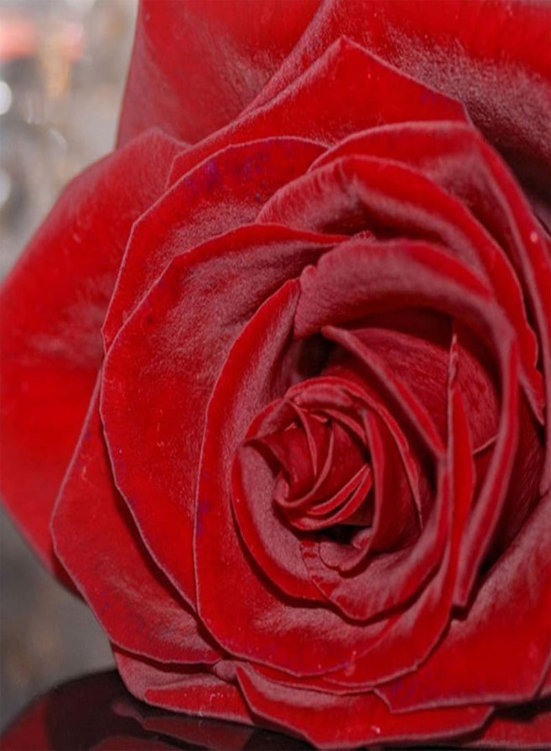 GGOOT Green Garden Flower Plants-100Pcs Beauty Rose with Red Edge Seeds Home Garden Plant Flower Decoration - Image 5