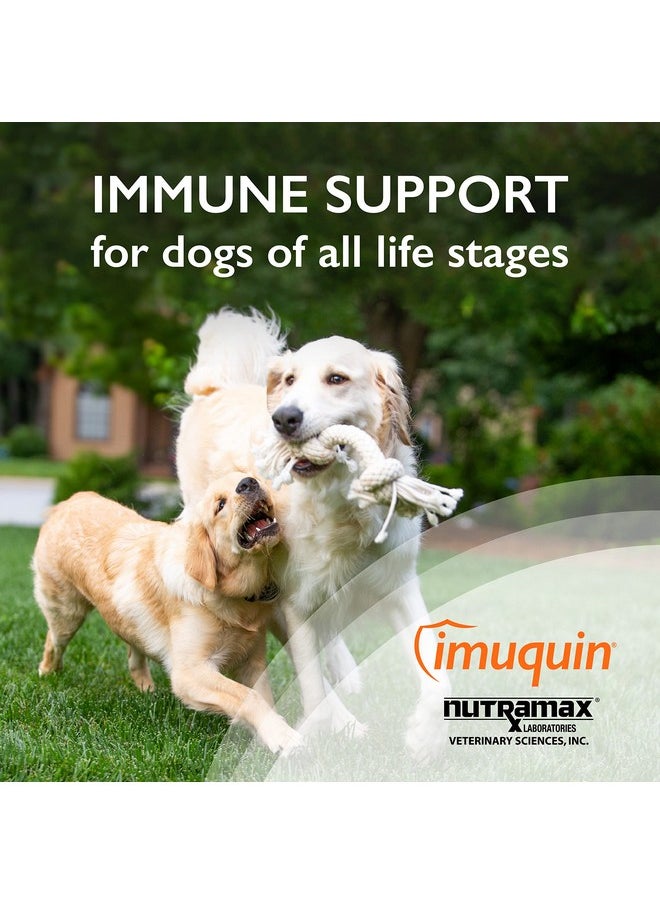 Nutramax Laboratories Nutramax Laboratories Nutramax Imuquin Immune Health Supplement Powder for Dogs, with Beta Glucans, Marine Lipids, Vitamins and Minerals, 30 Packets, Updated Version  - Image 2