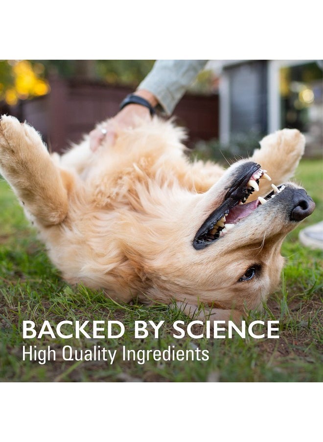 Nutramax Laboratories Nutramax Laboratories Nutramax Imuquin Immune Health Supplement Powder for Dogs, with Beta Glucans, Marine Lipids, Vitamins and Minerals, 30 Packets, Updated Version  - Image 4