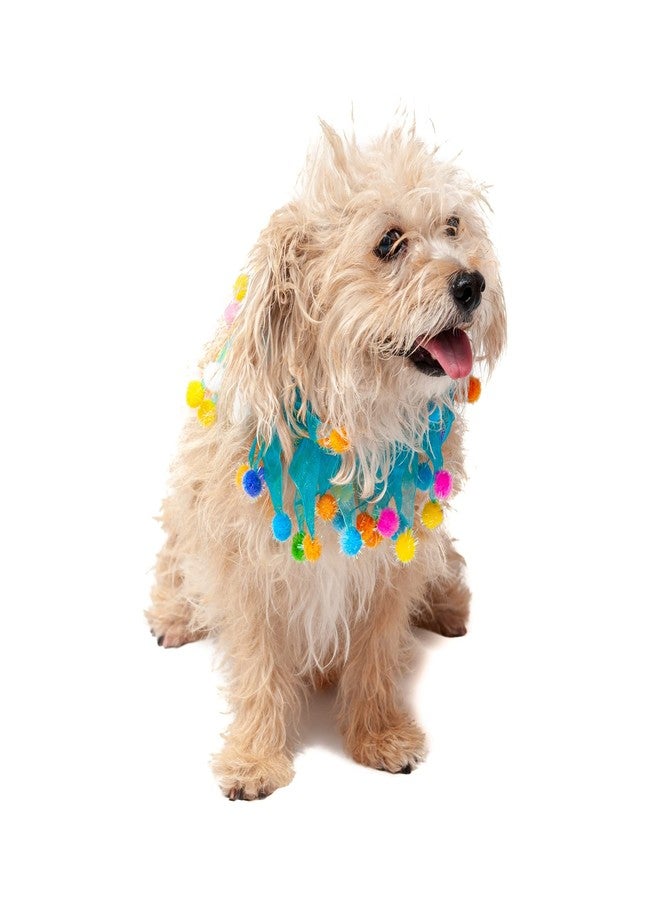 Midlee Blue Birthday Pom Pom Dog Collar (Medium) - Image 3