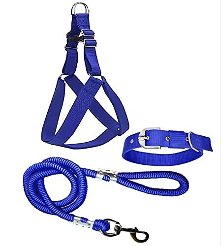 Agirav No Pull Dog Harness - Step in and Leash for Small Medium Large Dog - Escape Proof Adjustable Soft Dog Harness Leash Collar Set for Walking Training Hiking Outdoor (Royal Blue) - Image 3