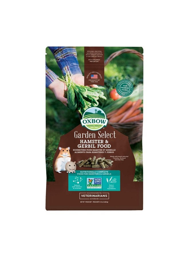 Oxbow Animal Health Garden Select Hamster And Gerbil Food, Garden-Inspired Recipe for Hamsters And Gerbils, Non-GMO, Made In The USA, 1.5 Pound Bag - Image 1