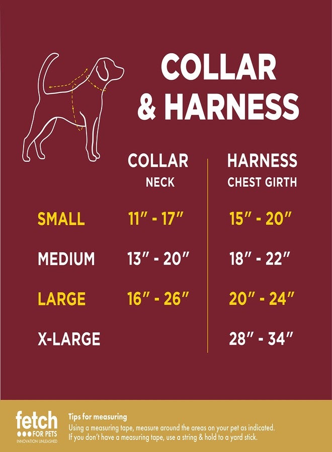 Harry Potter Ravenclaw Dog Collar in Size Small | Small Dog Collar, Harry Potter Dog Collar | Harry Potter Dog Apparel & Accessories for Hogwarts Houses, Ravenclaw - Image 5